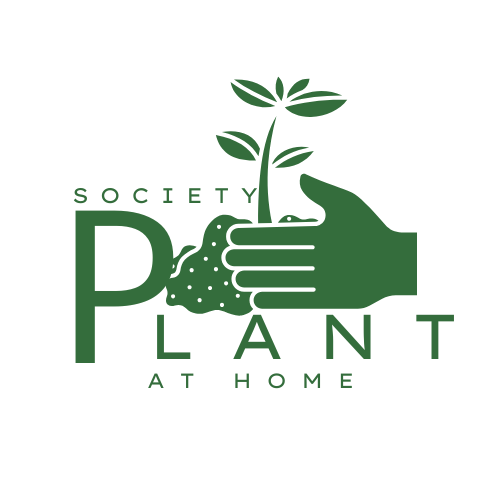 Logo huerta